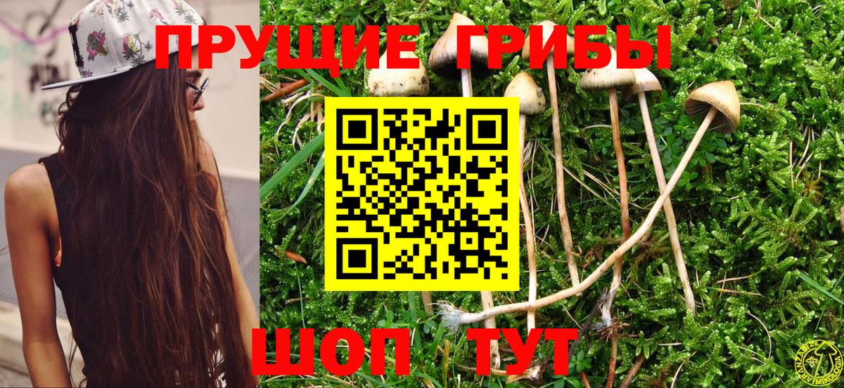 Шатура  Псилоцибиновые грибы Magic Shrooms  Вход с VPN 