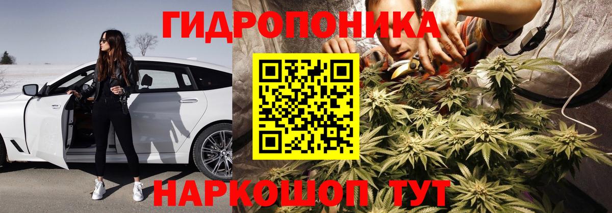 Каннабис ГИДРОПОН Шатура